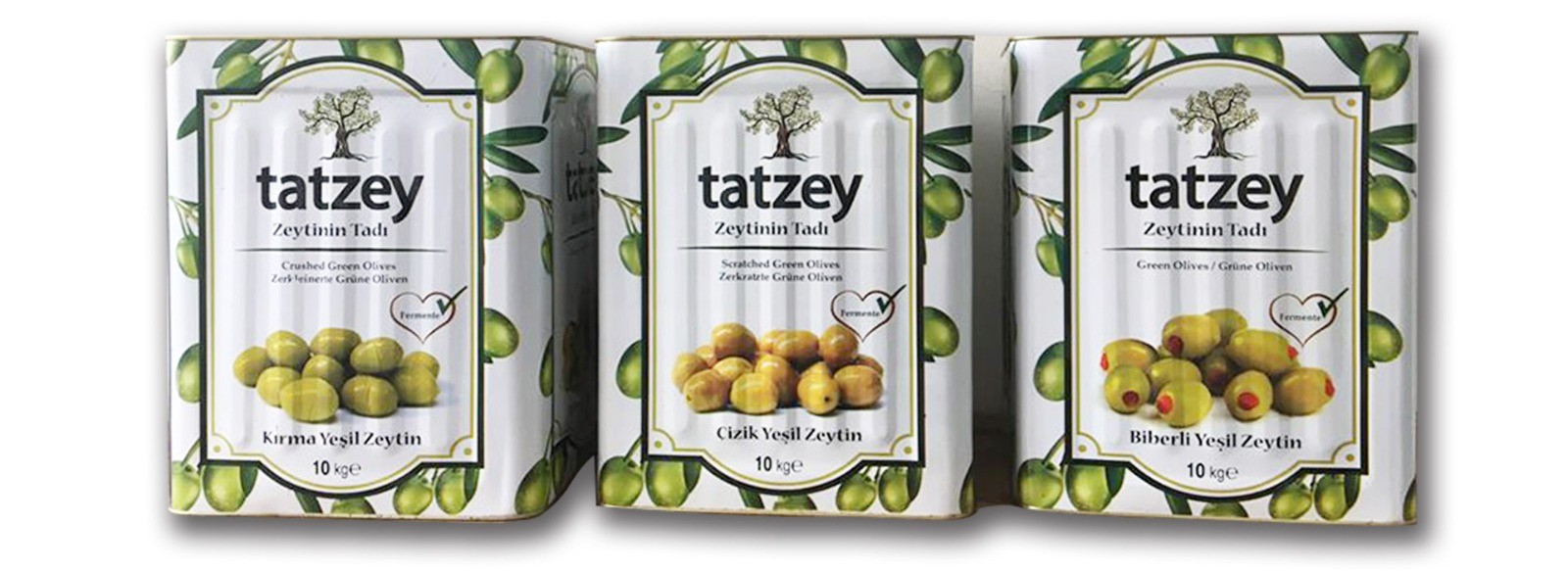 tatzey