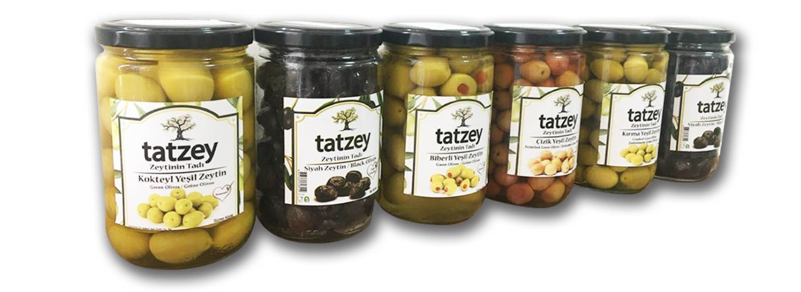 tatzey